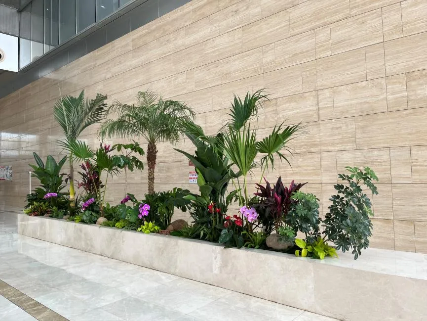 前湾花木租摆，轻松营造迷人的绿色家居环境！