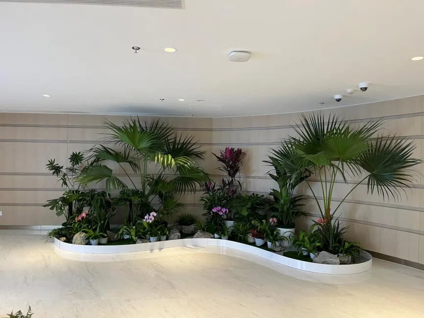 宁波鄞州花卉租赁专业